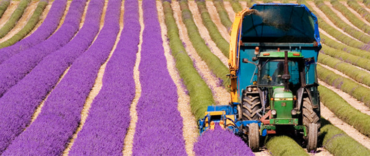 電動推桿應(yīng)用