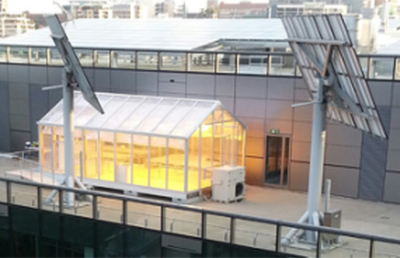 電動(dòng)開窗器在智能溫室上的應(yīng)用-澳大利亞某客戶